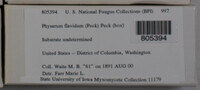Image Associated With the Occurence